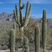 Cacti School Meets in a Great Setting by taffy