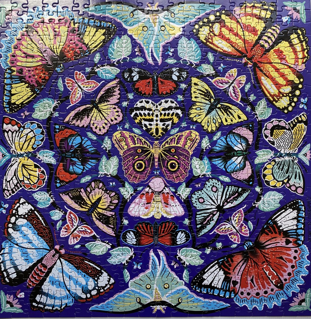 Butterfly kaleidoscope  by antlamb