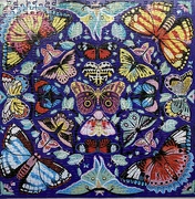 24th Dec 2023 - Butterfly kaleidoscope 