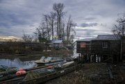 29th Jan 2024 - Finn Slough