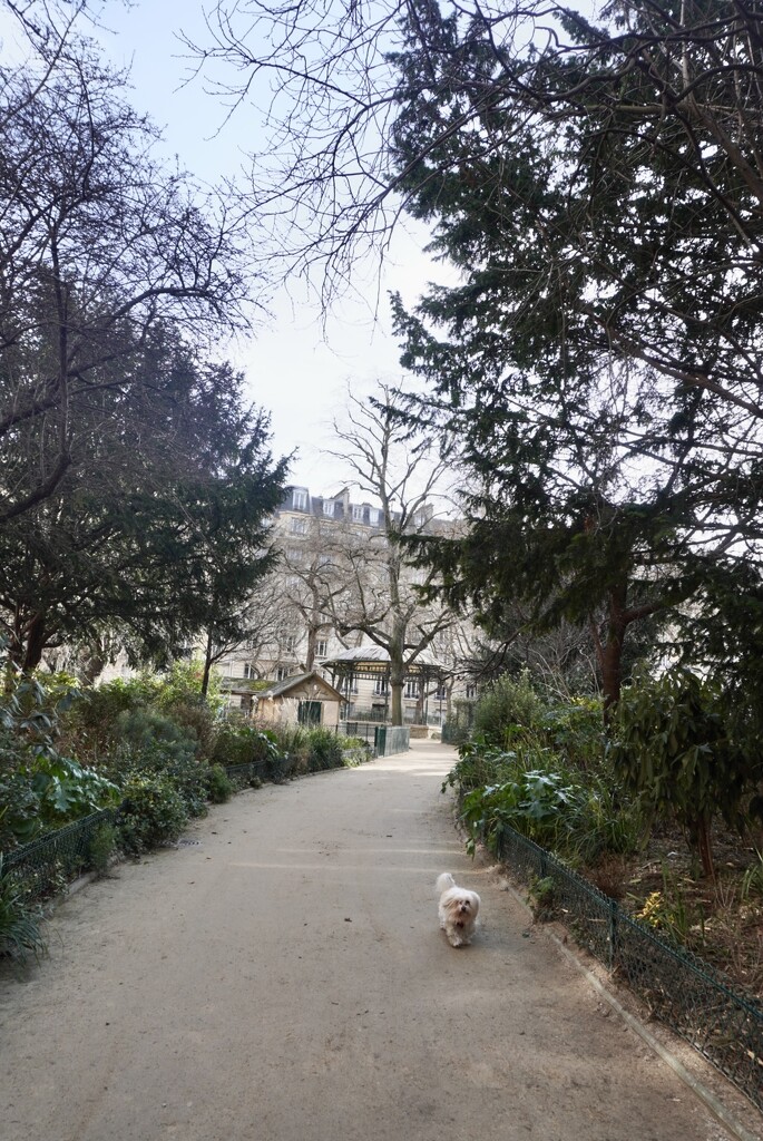 A beautiful stride through the squares garden next to the bakery, how lovely to have a cuddle with this gorgeous bungle of fluffiness… nice way to start the week. by beverley365