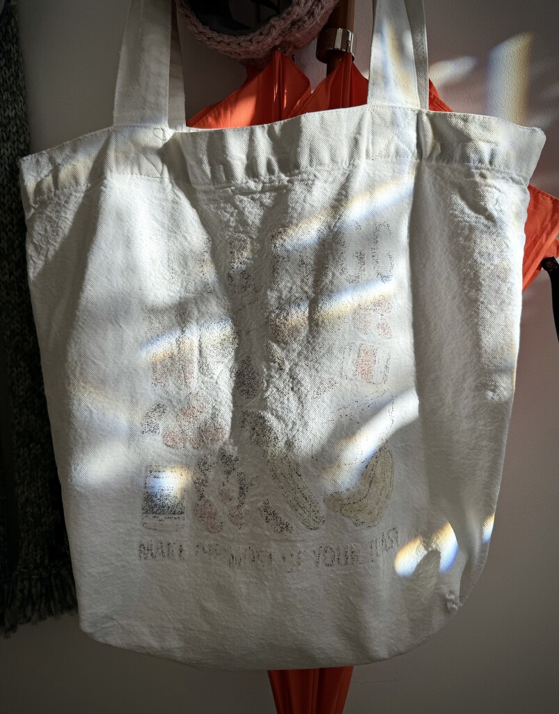 Sun Bleached Tote by eviehill