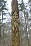 30th Jan 2024 - The man in the tree 