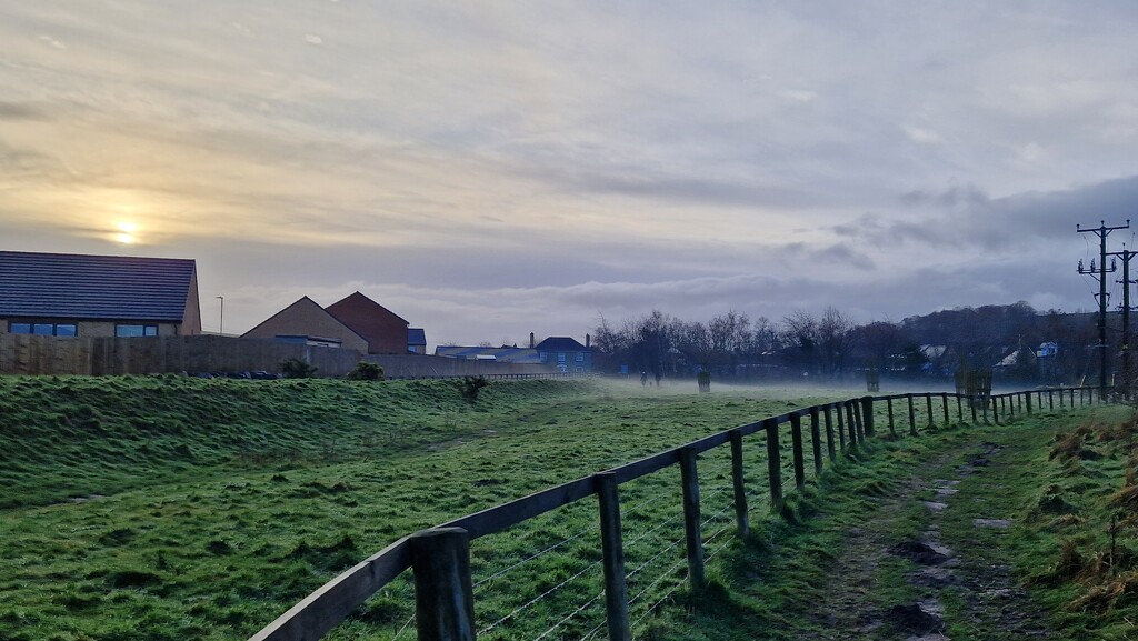 Misty Wooler walk by bunnymadmeg