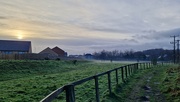 2nd Jan 2024 - Misty Wooler walk