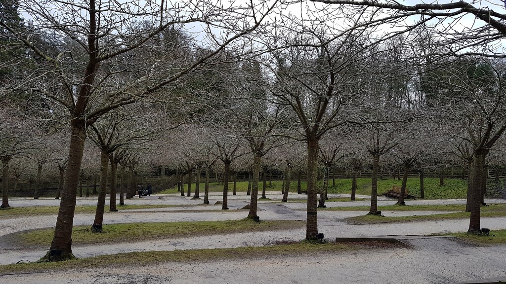 Alnwick Gardens by bunnymadmeg