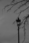 29th Jan 2024 - Lamplight