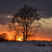 Tree, Sunset, and Snow by kareenking