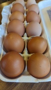 30th Jan 2024 - Brown Eggs