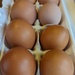 Brown Eggs by julie