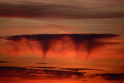 29th Jan 2024 - Virga clouds at sunrise