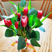 Tulips by larrysphotos