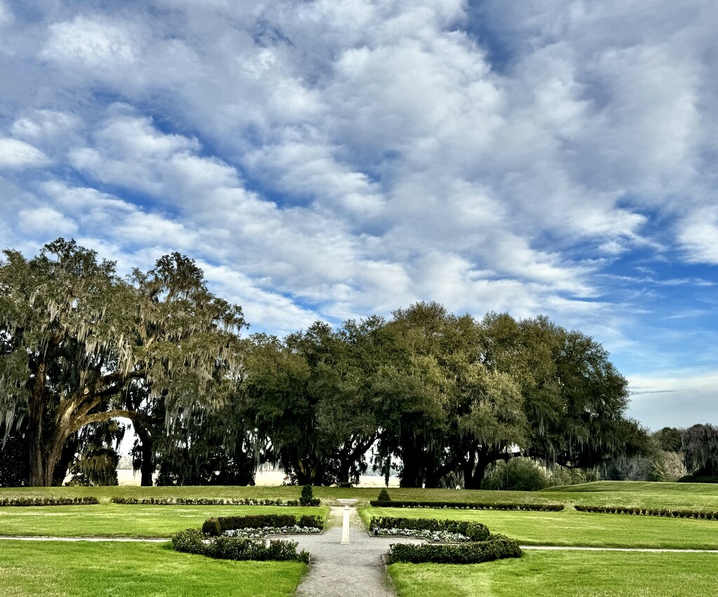 Middleton Place Gardens, near Charleston, SC by congaree