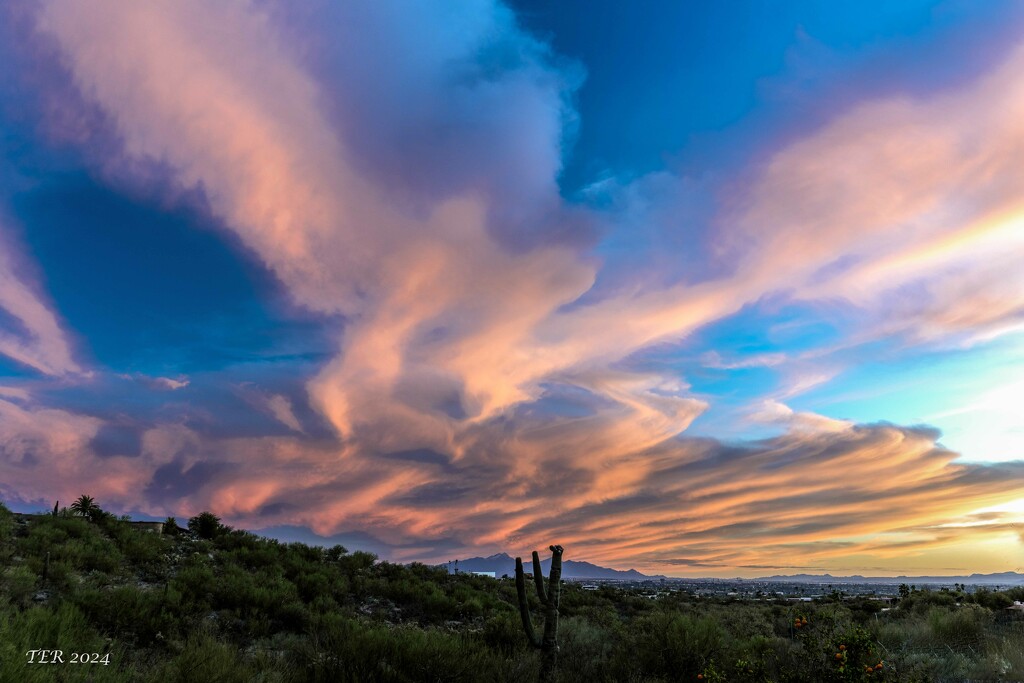 A Beautiful Tucson Sunset by taffy