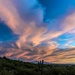 A Beautiful Tucson Sunset by taffy