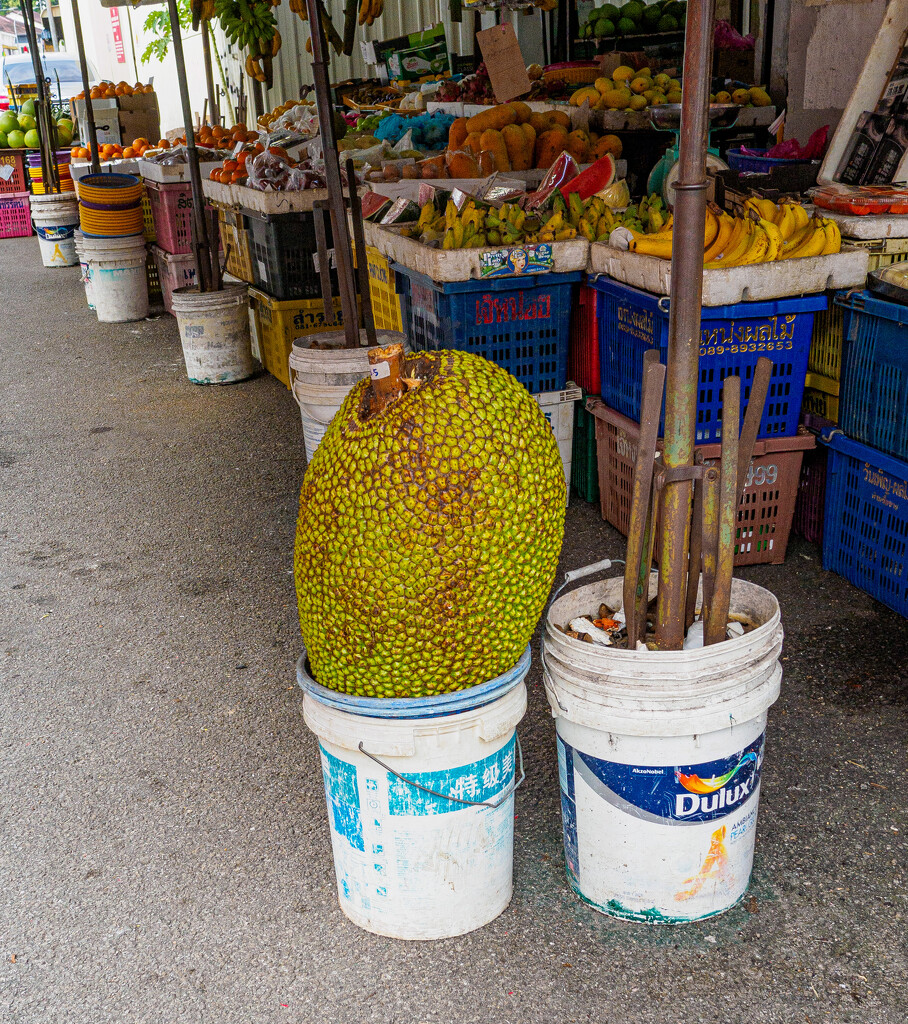 Large Jack Fruit, Jalan Kuala Kangsar. by ianjb21