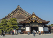 7th Nov 2023 -  Nijo-jo Castle, Kyoto.