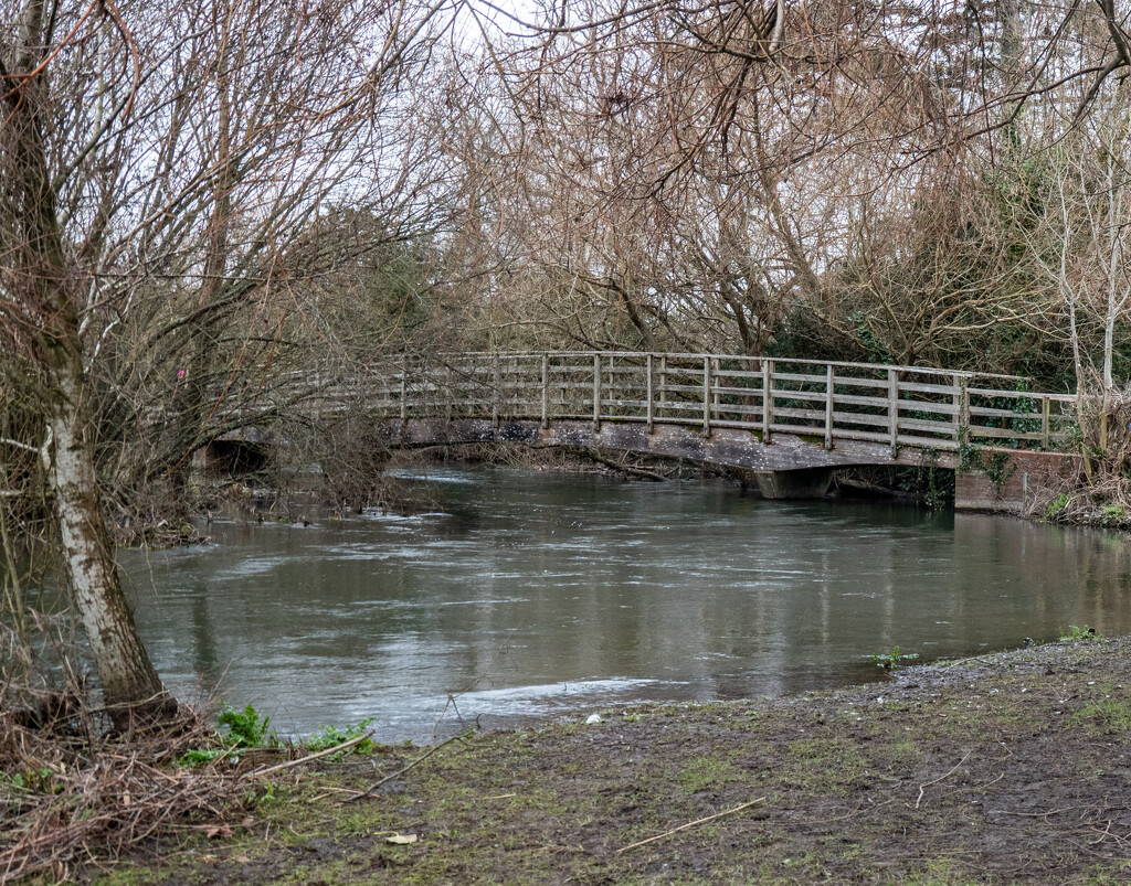 After the floods..... by susie1205