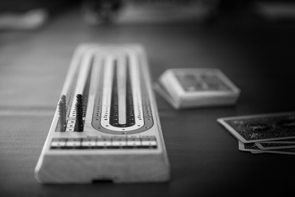 1-365 Cribbage by juliecor