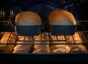 21st Jan 2024 - 21-365 Bread