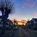 Streetwise Sunset  by chrispenfold