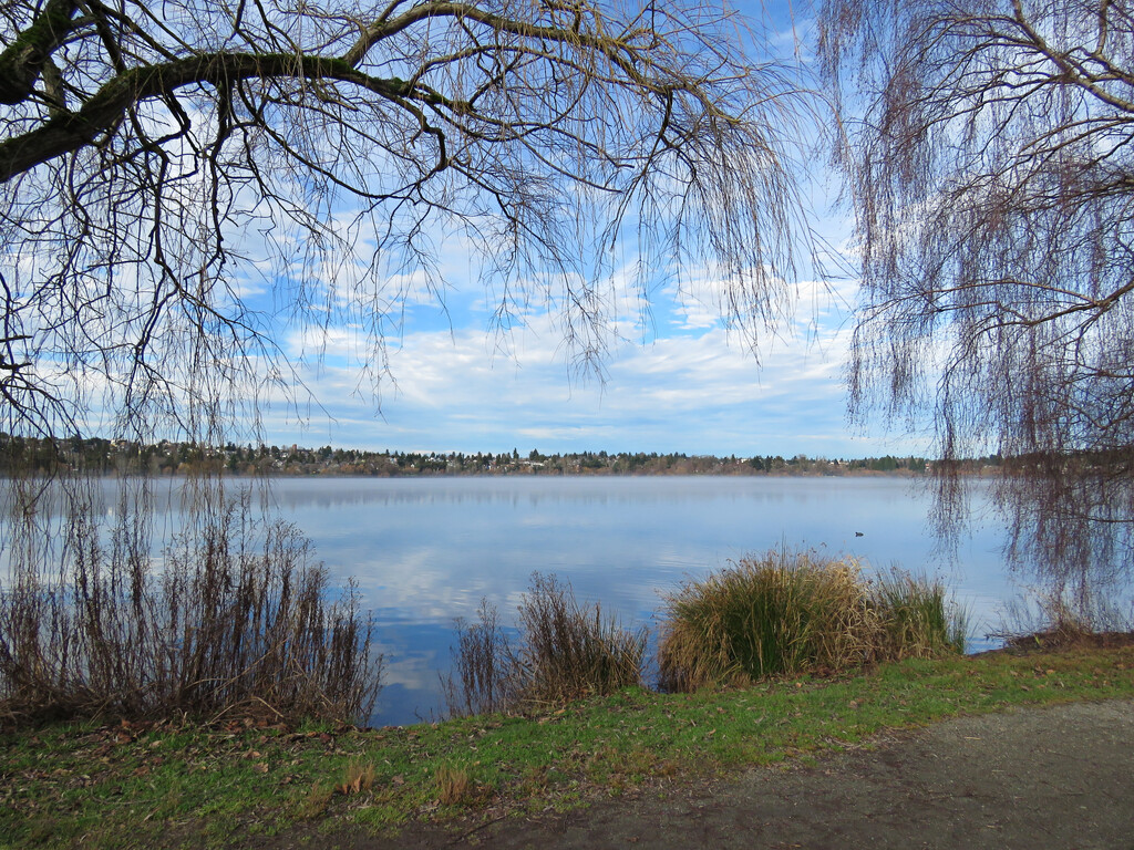 Green Lake View by seattlite