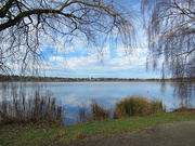 1st Feb 2024 - Green Lake View