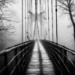 Life’s Bridges