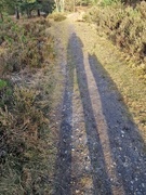 1st Feb 2024 - Me and my shadow!