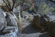 1st Feb 2024 - Boulder Trail
