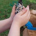 Making a bird feeder  by samcat