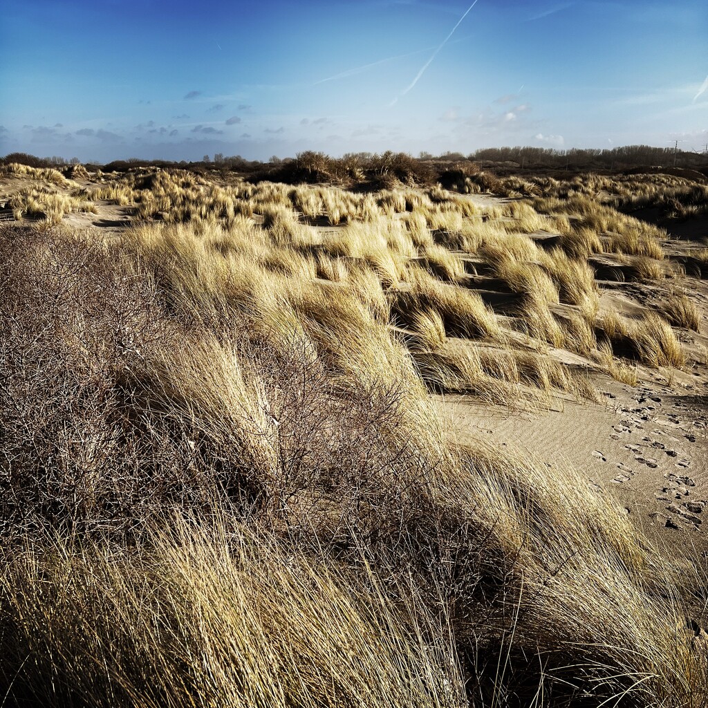 Dunes by mastermek
