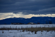 26th Jan 2024 - Montana Winter Landscape