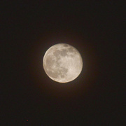 26th Jan 2024 - Wolf Moon