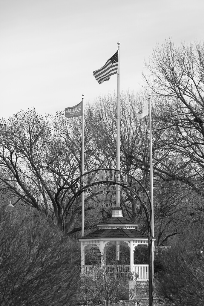 February 1: Gazebo at the Park by daisymiller