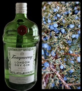 1st Feb 2024 - Juniper Berries and Gin