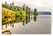 2nd Feb 2024 - Lake Vyrnwy (another view)