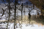 23rd Jan 2024 - Floodwater Sky with fence