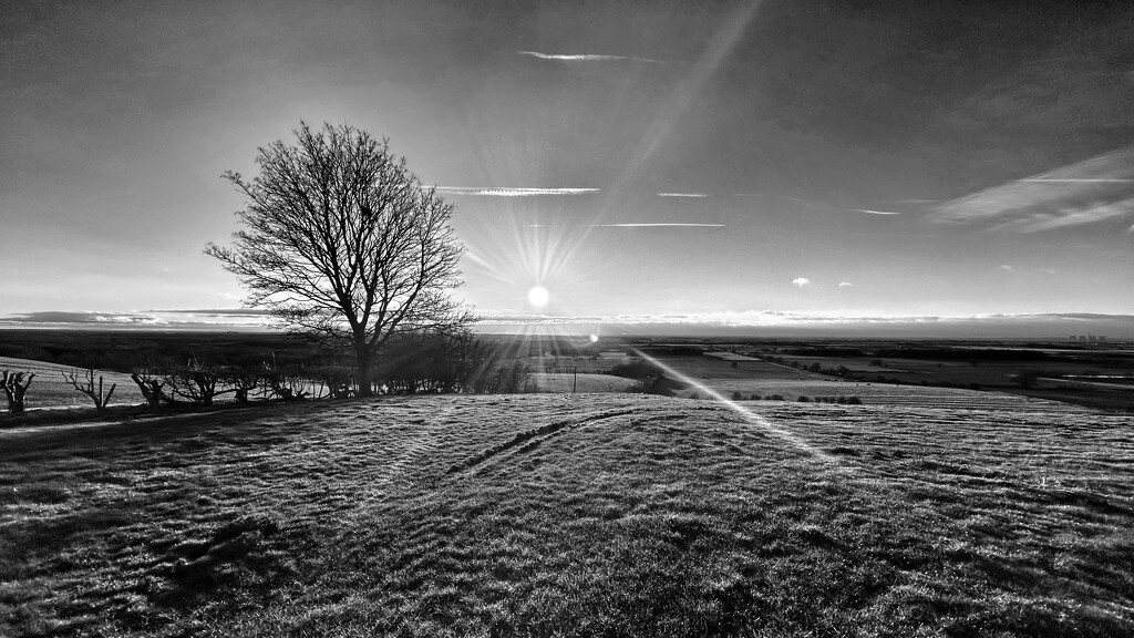 FOR #02 - Lincolnshire Ridge by phil_sandford
