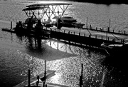 2nd Feb 2024 - Afternoon at the Marina in Black and White