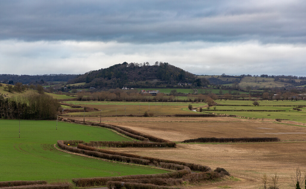 View of Dundon Hill by tonus