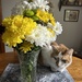 Cat enjoying the bouquet.  by dolores