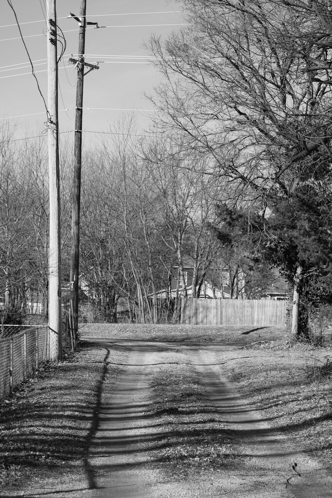 February 2: The Alley with a Curve at the End by daisymiller