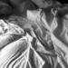Bed sheets by fperrault