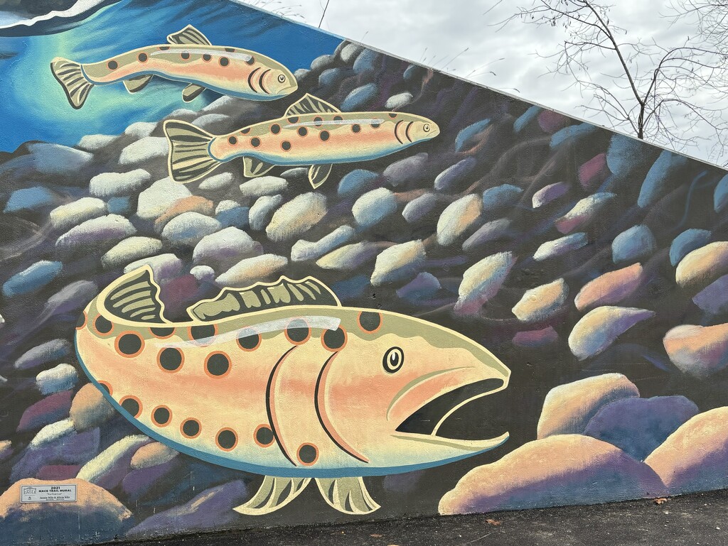 Fish mural by pirish