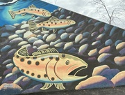 2nd Feb 2024 - Fish mural