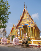 3rd Feb 2024 - Wat Nong Yai