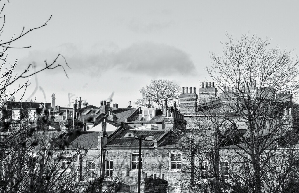 Rooftops and chimney pots by tiaj1402