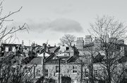2nd Feb 2024 - Rooftops and chimney pots