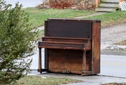 1st Feb 2024 - Roadside Piano #3